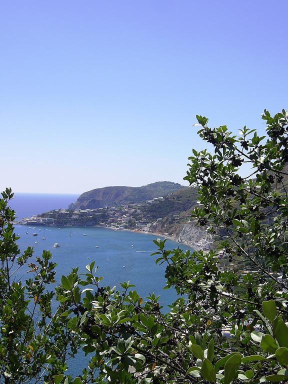 Hotel San Giovanni Terme Ίσκια Εξωτερικό φωτογραφία
